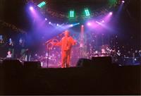 Live Shots